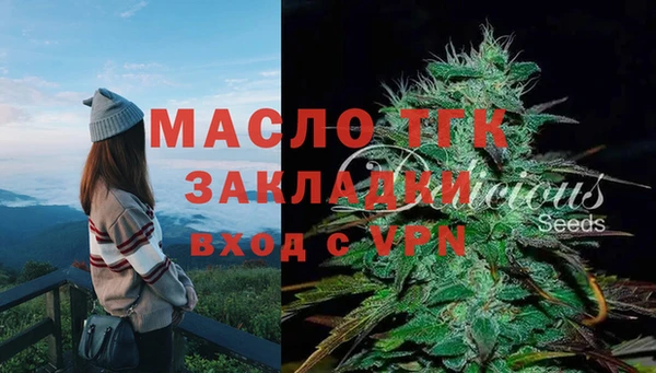 шишки Верхний Тагил